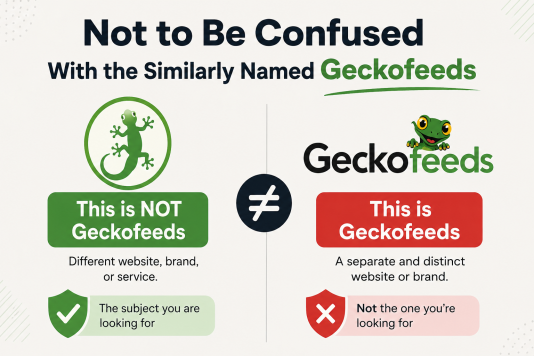 GeckoFeed.com