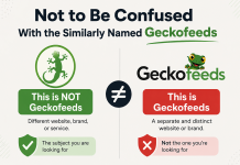 GeckoFeed.com: Not to Be Confused With the Similarly Named Geckofeeds GeckoFeed.com
