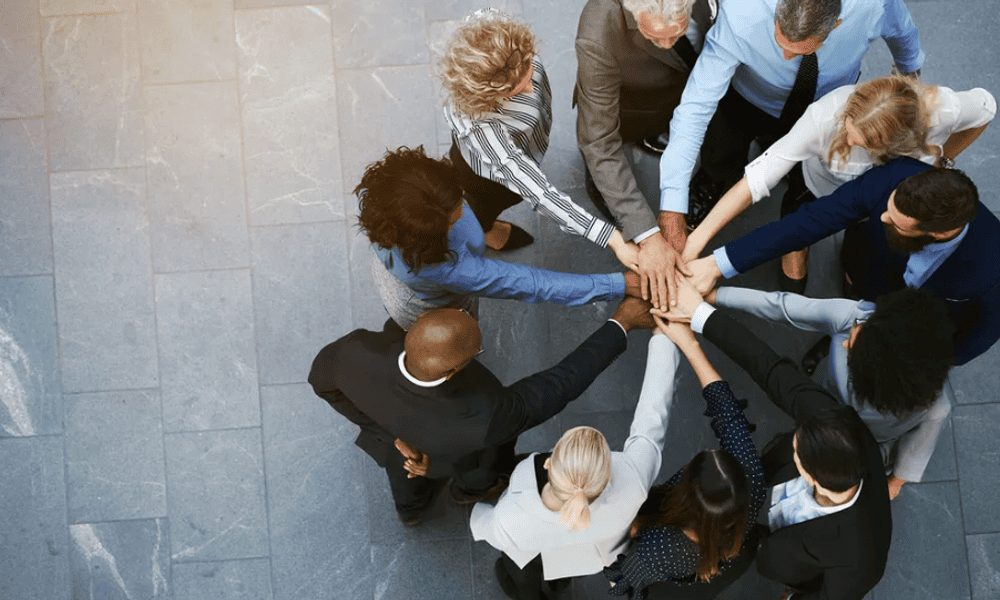 diversity and inclusion diversity and inclusion