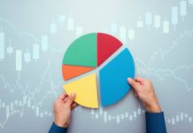 Portfolio Diversification: How to Build a Resilient Investment Portfolio portfolio diversification